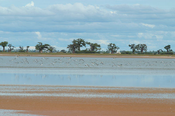 Lodge Du Delta Niominka Dinouar Exteriér fotografie